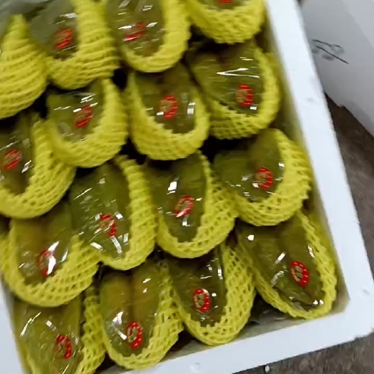 云霄县杨桃