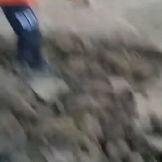 英德市鸡粪