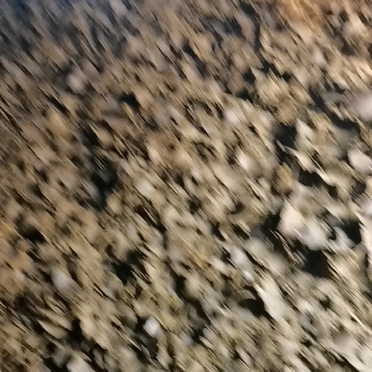销售纯真棉籽饼，质量稳定，货源充足，价格适中