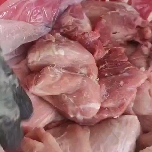 青岛大块精碎肉，2号肉，4号肉，前腿肉，后腿肉