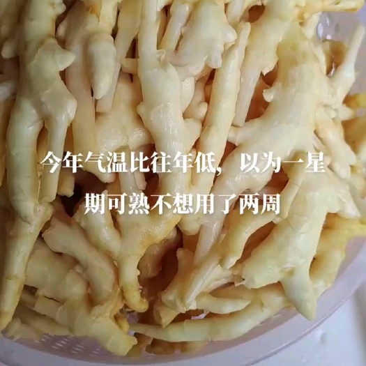 桂林酸姜，采用优质有香味嫩姜为原材料。无姜丝，脆嫩酸香可配可拌。