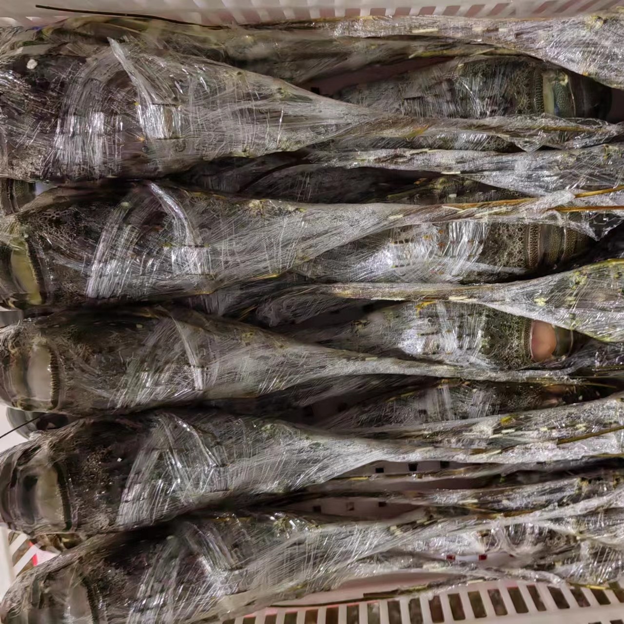 源头小青龙直供