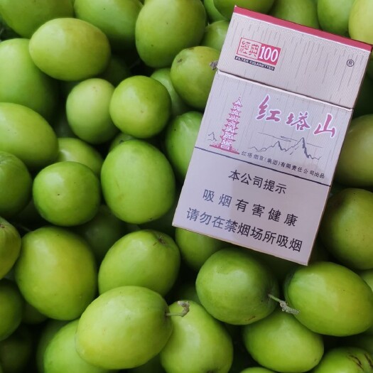 元江县彩云之南高原青枣