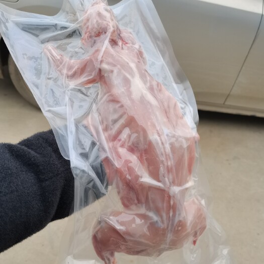 仙桃市肉兔，活体，也可生鲜发货。。价格可谈。量大从优。