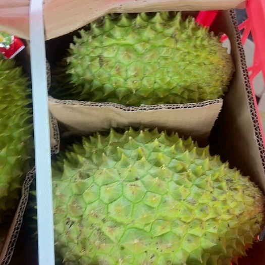 南宁干尧榴莲
