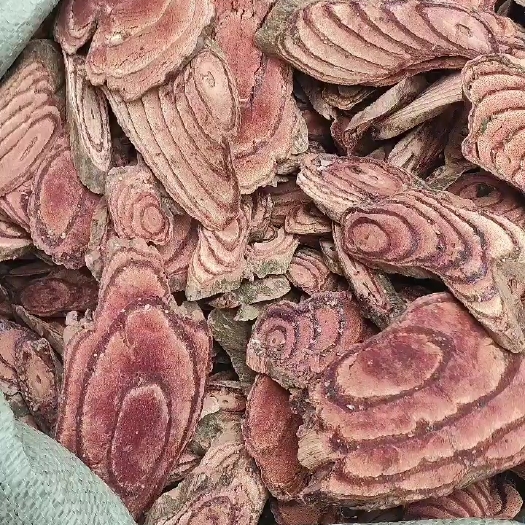 梧州精品鸡血藤