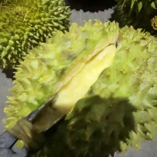 南宁金枕