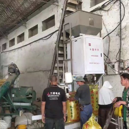 邓州市精品高蛋白黄豆，价格美丽，有意者私聊