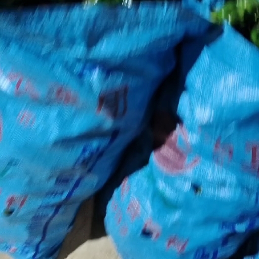 徐闻县陇椒尾