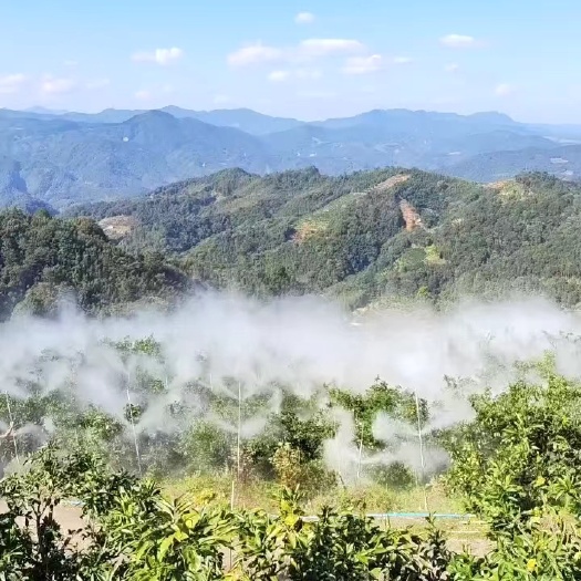 高压雾化喷嘴大鹏打药喷雾养殖场降温工地除尘环保
