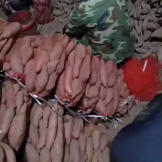 夏津县大量供应龙薯久纯沙土地