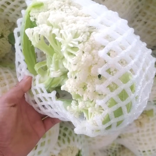 花菜