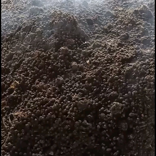 渭南发酵腐熟纯羊粪