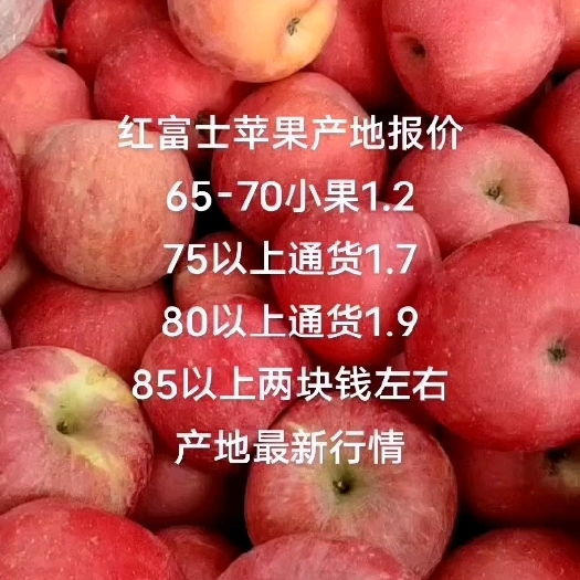 武穴市红富士苹果