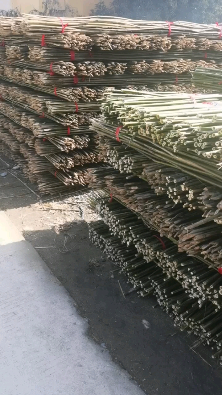 苦竹-【3米精品】菜架竹