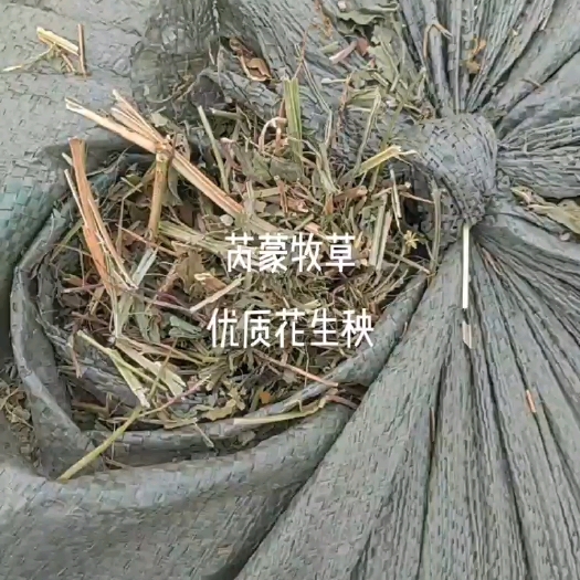 蒙城县青绿色一级花生秧 无淋雨 无霉变 淡淡花生清香味 一级货