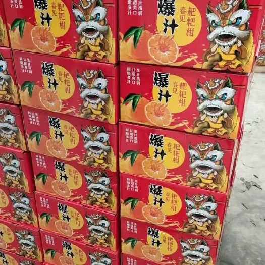 黑山县耙耙柑