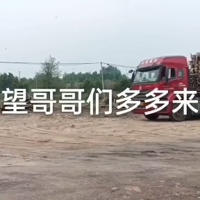 惠民县木材厂场地，工人免费，找合作，合伙人，产地收购价上车！让利！