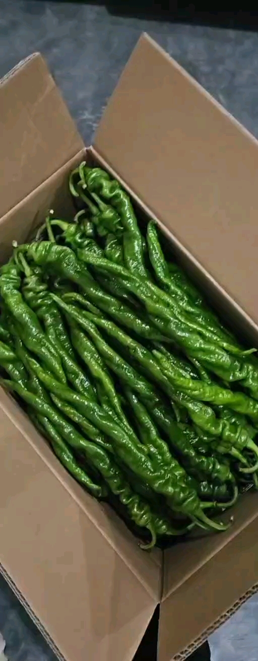 南安市螺丝椒泡椒