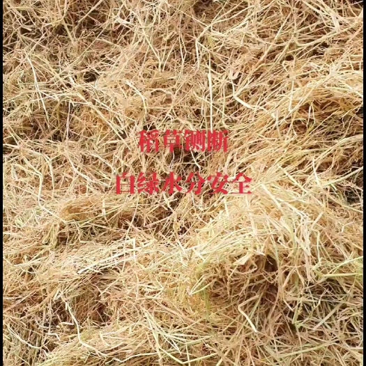 鱼台县秸秆草料