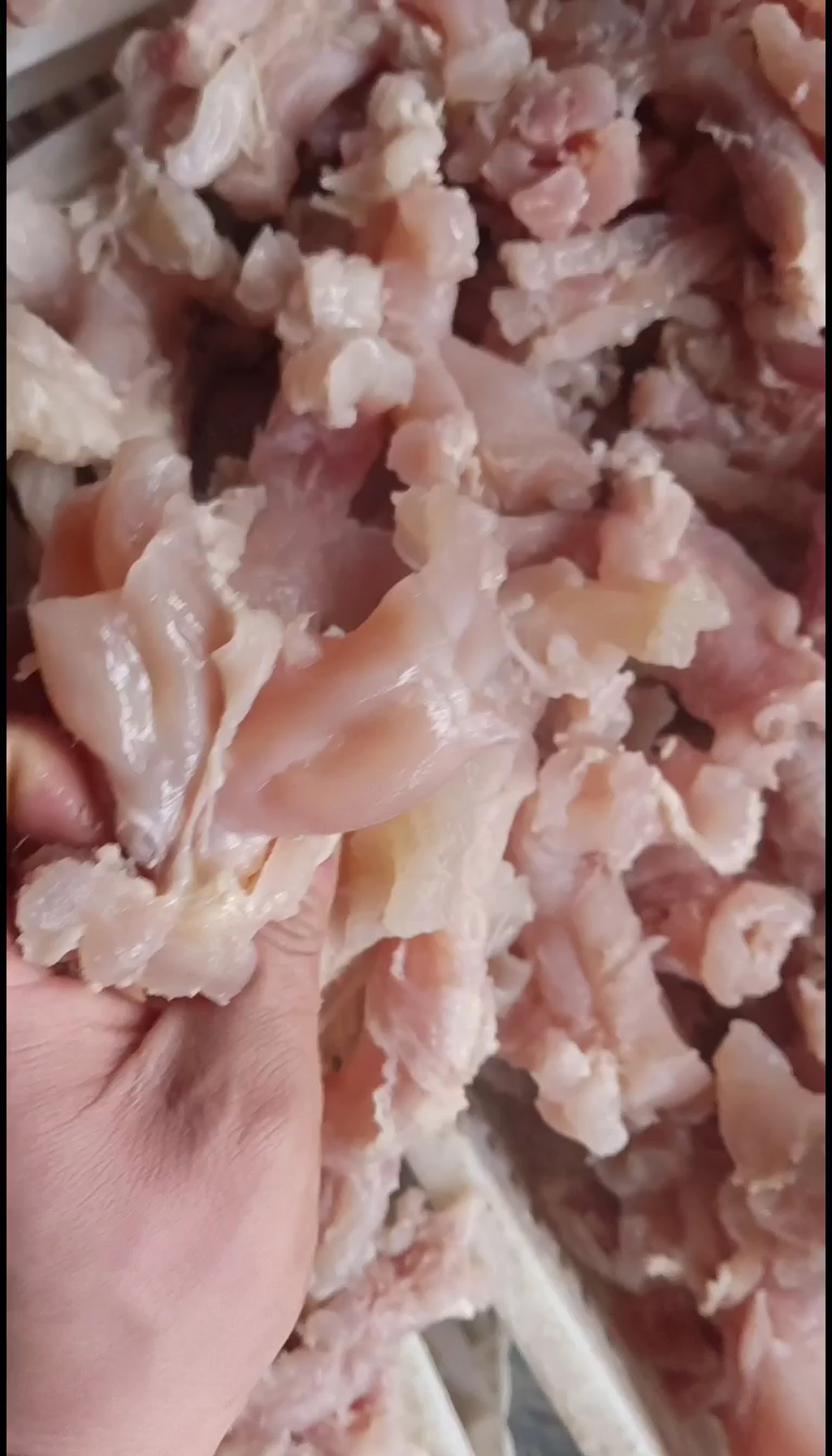 清水煮原色原味熟牛蹄筋，都是主筋，，工厂直销，一手货源，