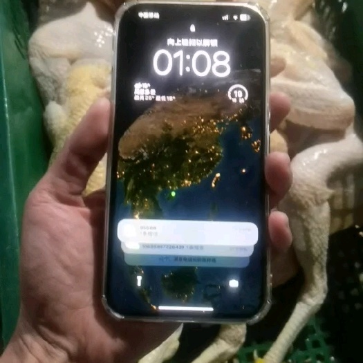 海口全国现宰文昌鸡零批