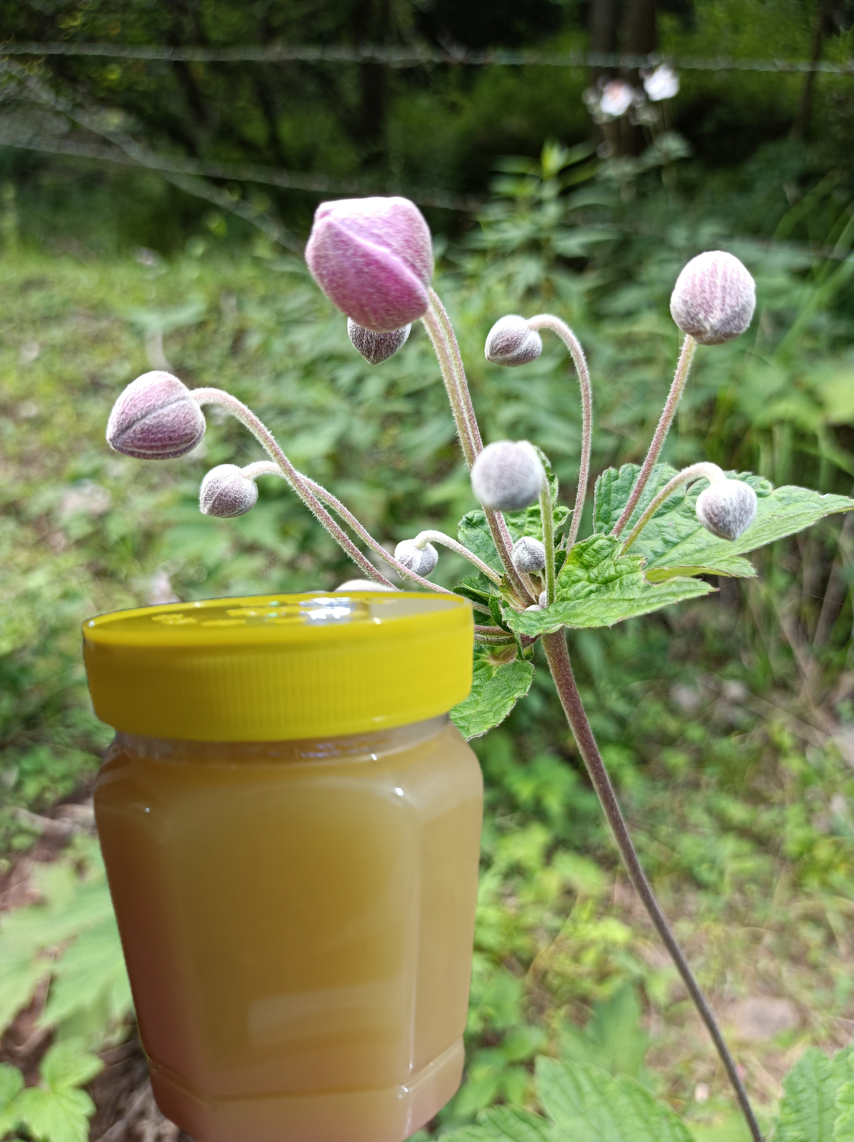 蜂爭瘋品牌蜂蜜店