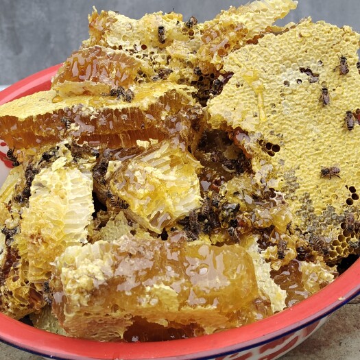 柞水县森林康养，精灵之舞，醇厚之味，营养之珍，用大自然品味纯真。