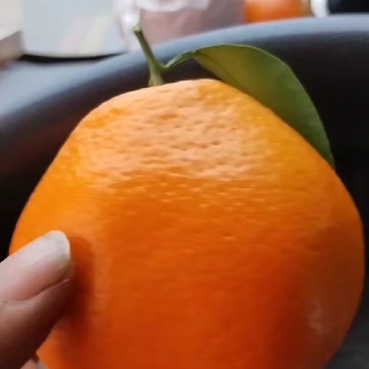 黑山县耙耙柑
