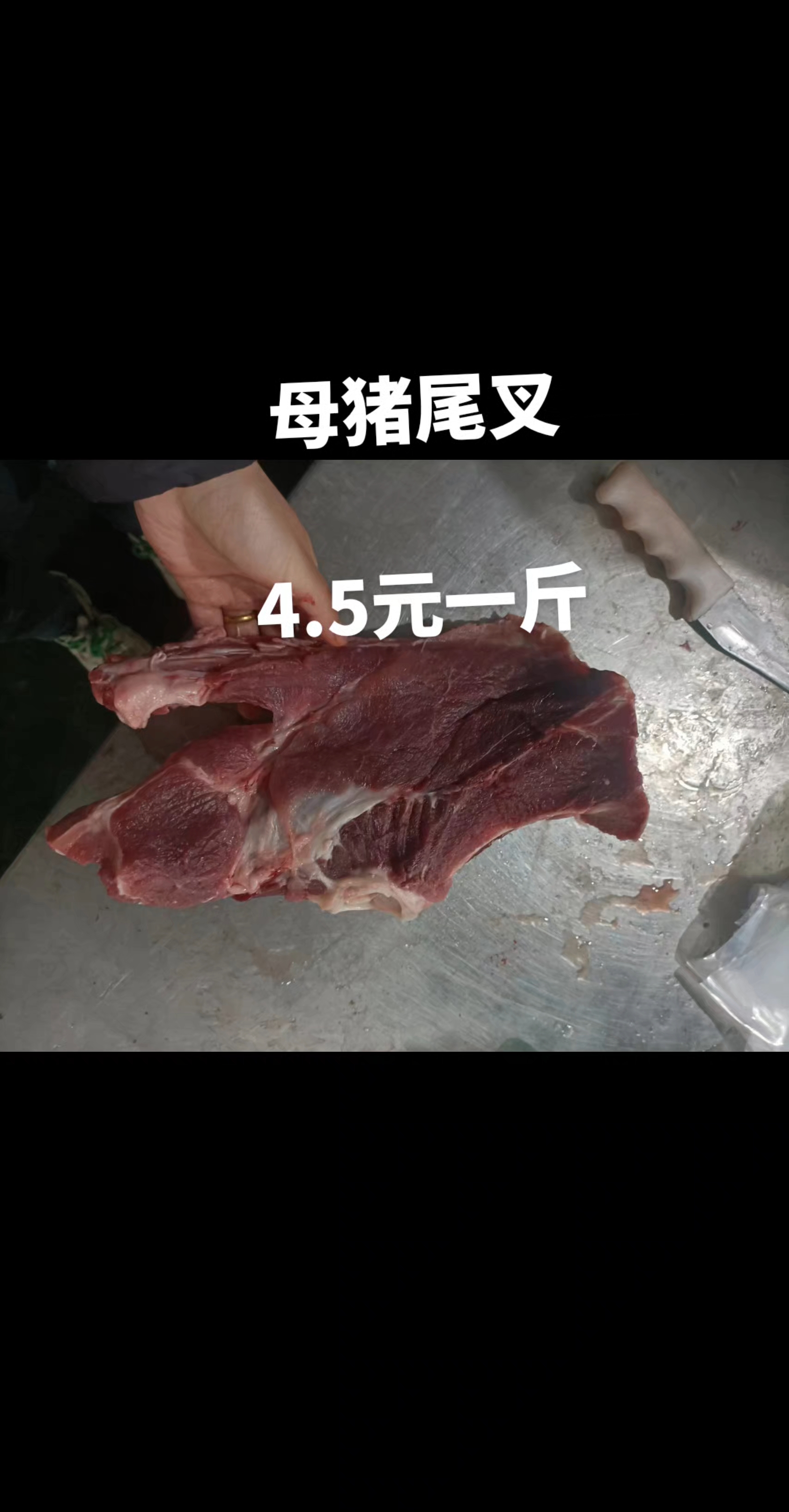 母猪多肉尾叉骨 骨头 猪肉 猪副产品猪排骨