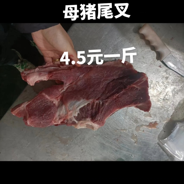 母猪多肉尾叉骨 骨头 猪肉 猪副产品猪排骨