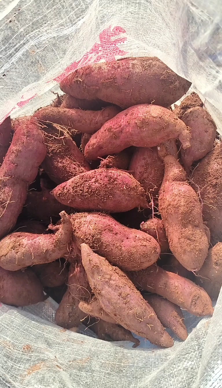 大量凌紫上市电商，工厂货，市场货