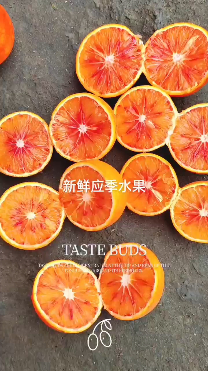 塔罗科血澄