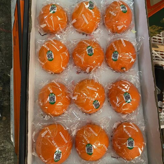 溆浦县溆浦大江口纽荷尔脐橙(自然熟，)