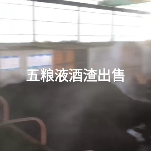 长沙五粮液酒渣