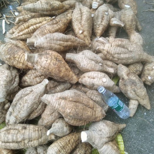 道县优质无渣粉葛