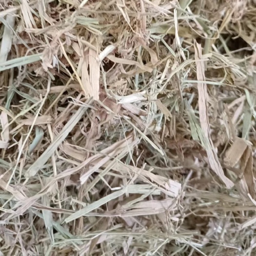 郯城县风选柔丝除尘水稻秸秆