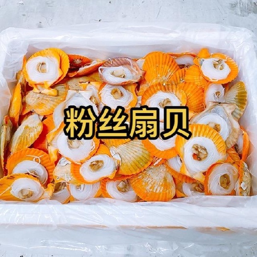 佛山黄金贝