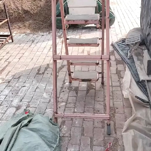 淄博常年出售出菇菌包