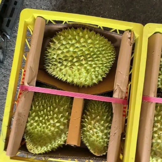 上海干扰榴莲AB装出肉高大块软糯香甜