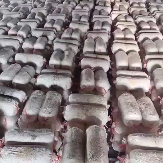 淄博常年出售出菇菌包