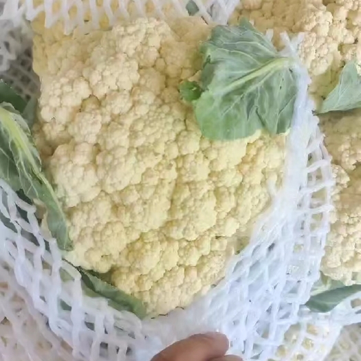 通许县有机花