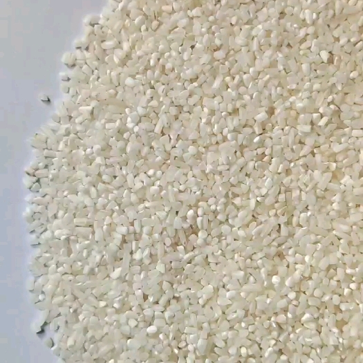 钦州缅甸碎米B12，期货，**签约，寻直接用粮企业，长期合作