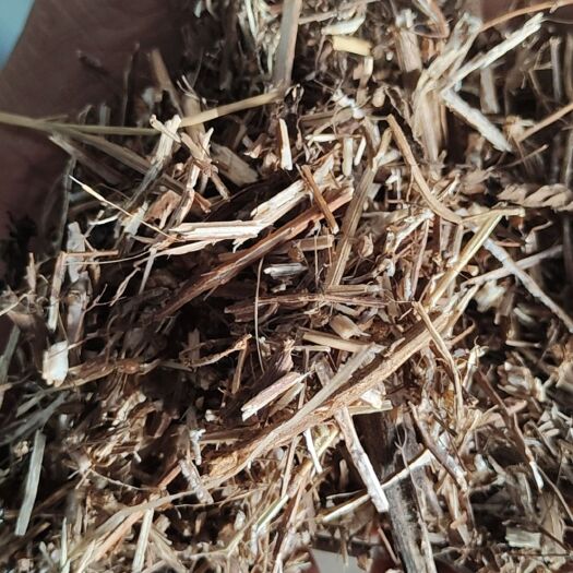定远县中药药溪黄草