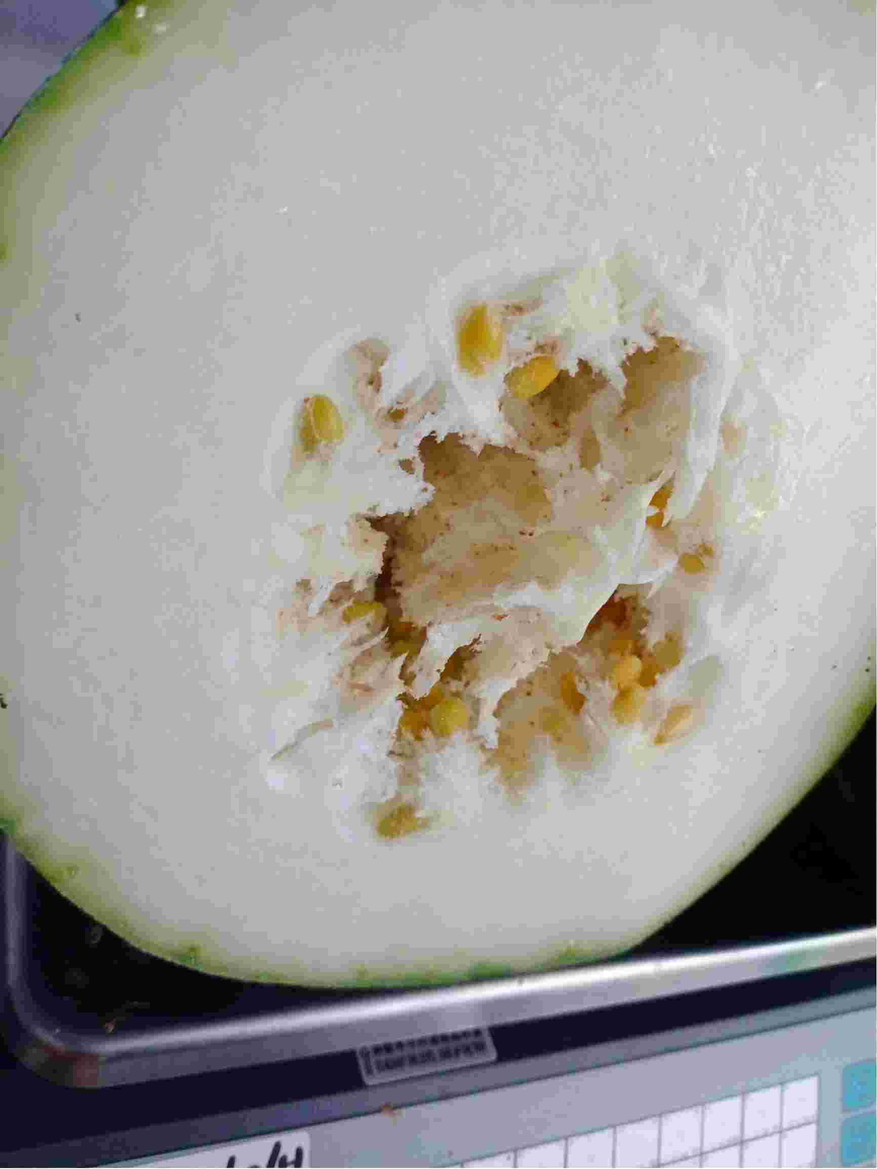 冬瓜瓤里的褐色小点是什么原因,有什么危害,请老师解