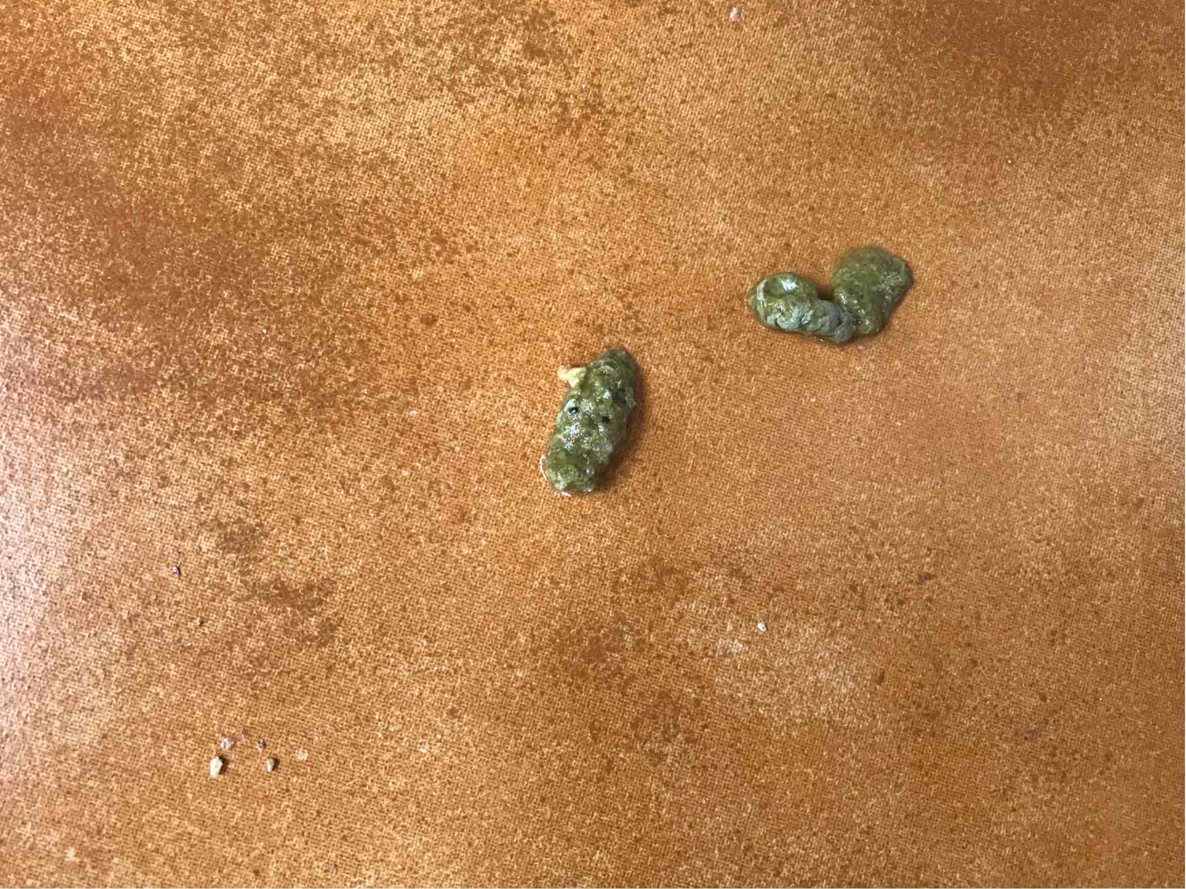 老师您好鸭子总是拉这样子的粑粑是不是得了什么病卖家说是应急反应一