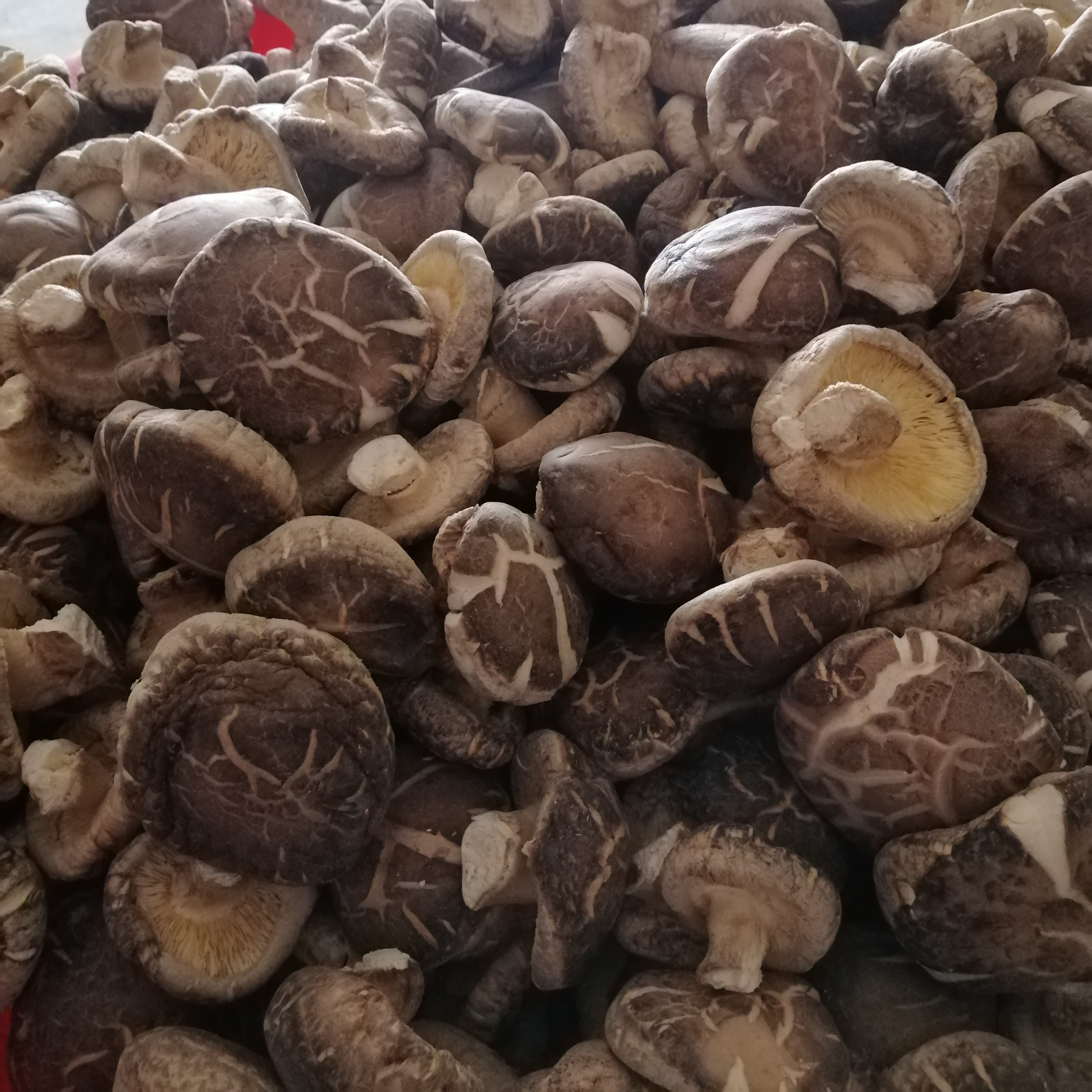 泌阳花菇干货干香菇批发 新货冬菇 蘑菇土特产500G原产地发货-阿里巴巴