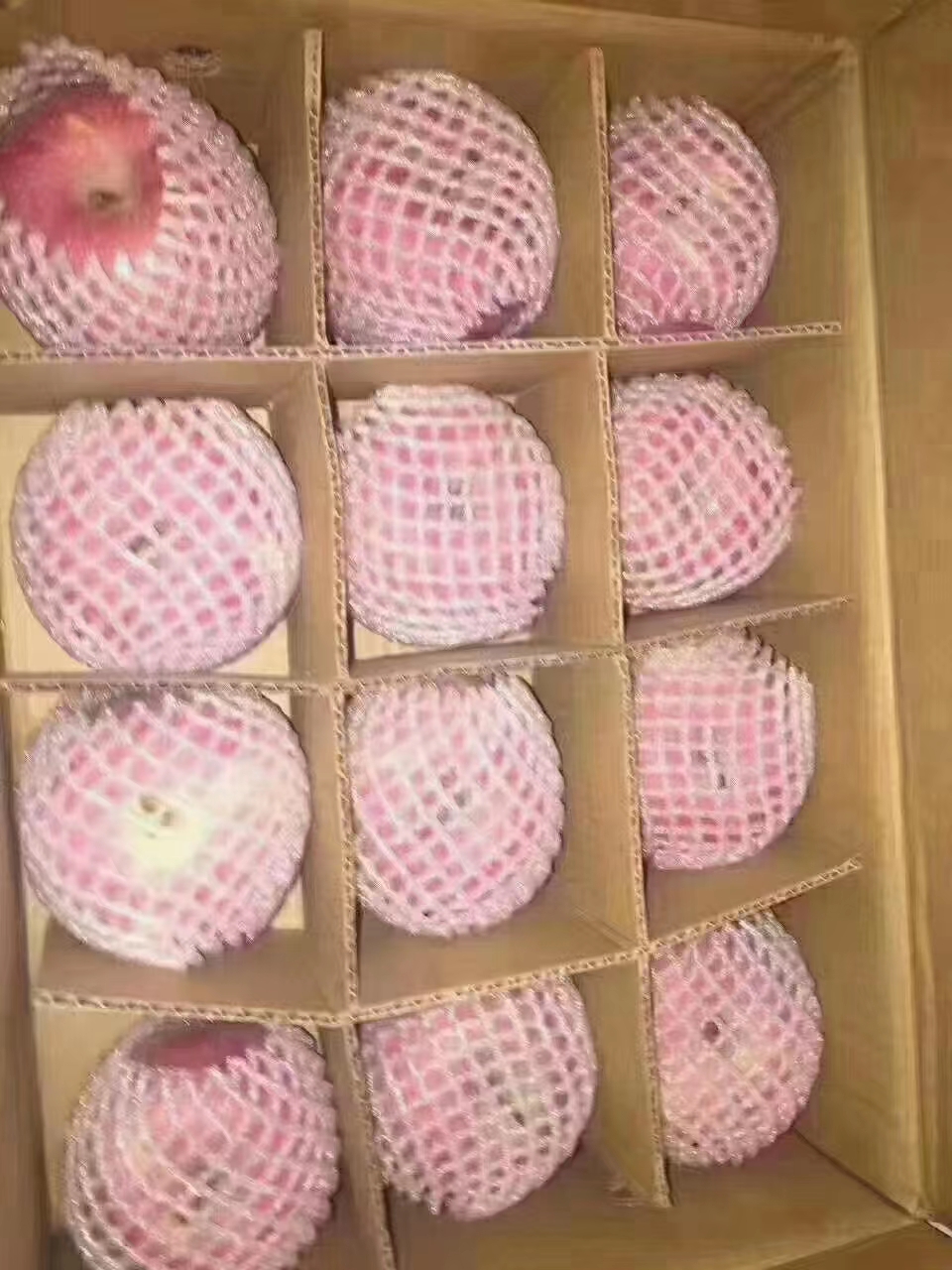 红富士