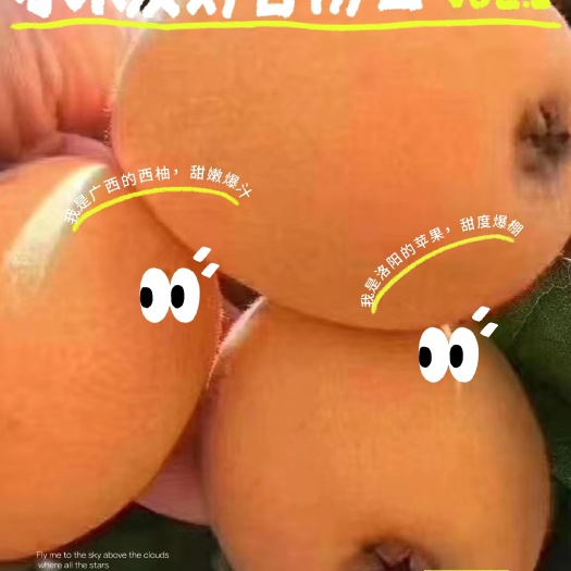 云霄县枇杷