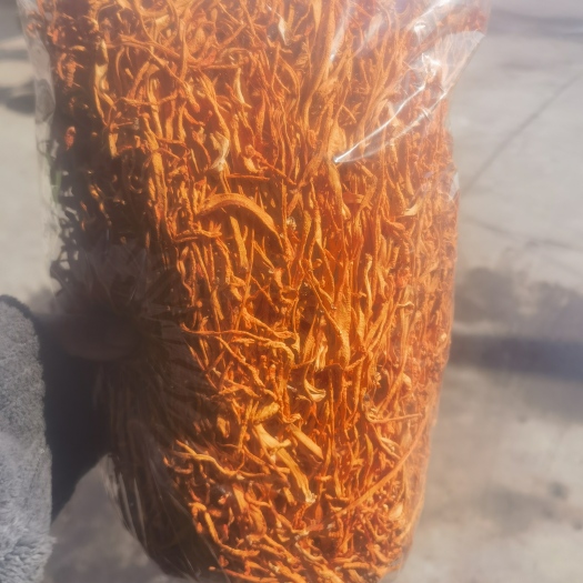 灯塔市北虫草